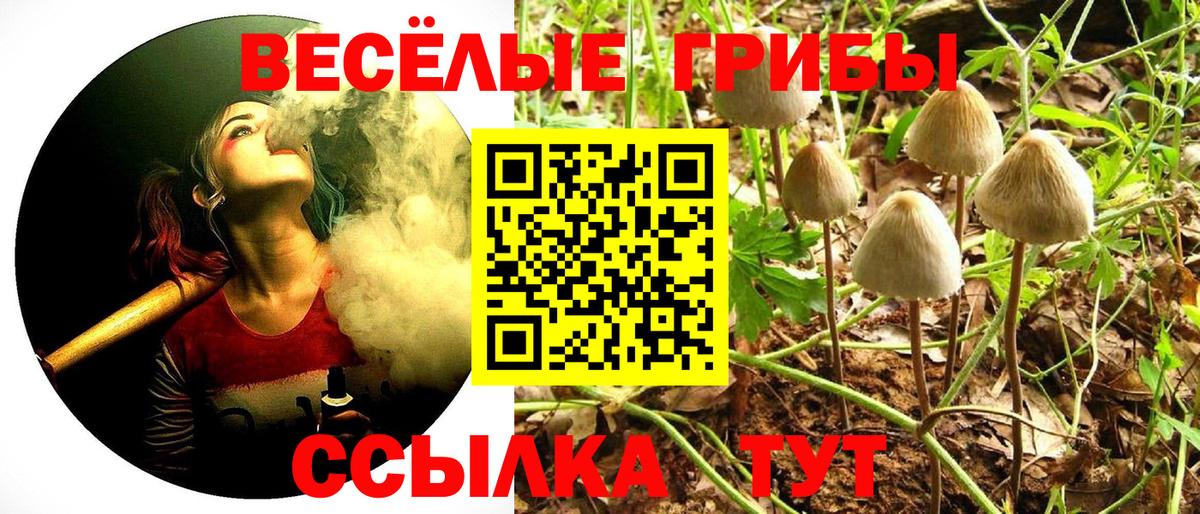Тутаев  Галлюциногенные грибы мицелий  Вход с VPN 