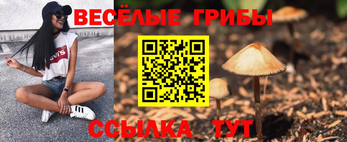 Галлюциногенные грибы Psilocybine cubensis Тутаев