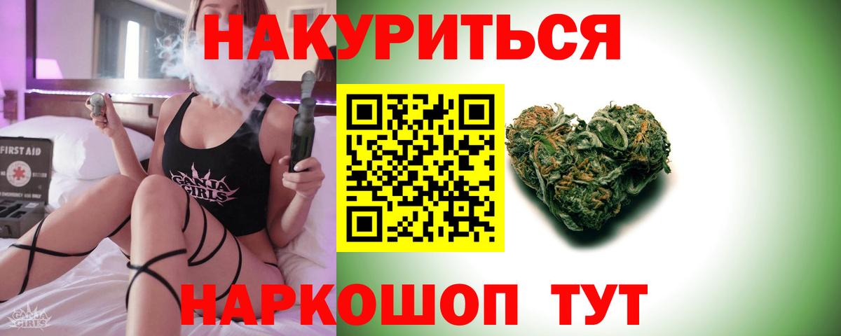 Каннабис планчик Тутаев